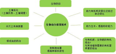 復(fù)振科技 從醫(yī)藥跨界環(huán)保的“野蠻人”，如何在環(huán)境科技領(lǐng)域開疆拓土？